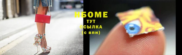стаф Осинники