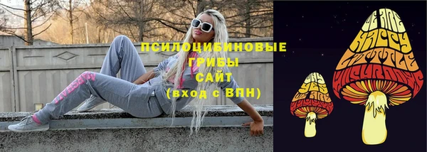 крисы Балахна