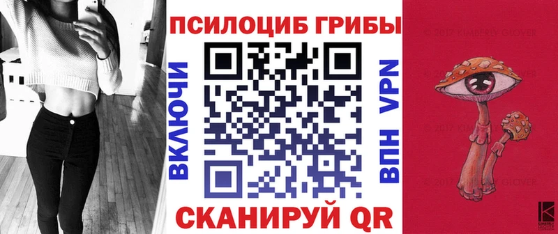 Псилоцибиновые грибы мицелий  darknet формула  Тосно 